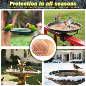 HYXBXSS corrosion-resistant disc provides reliable water clarity year-round.