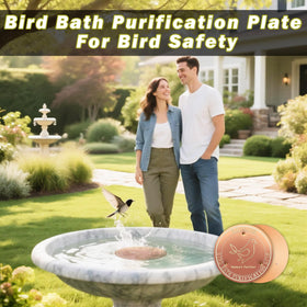 HYXBXSS copper bird bath disc delivers clean water for healthy bird visits.