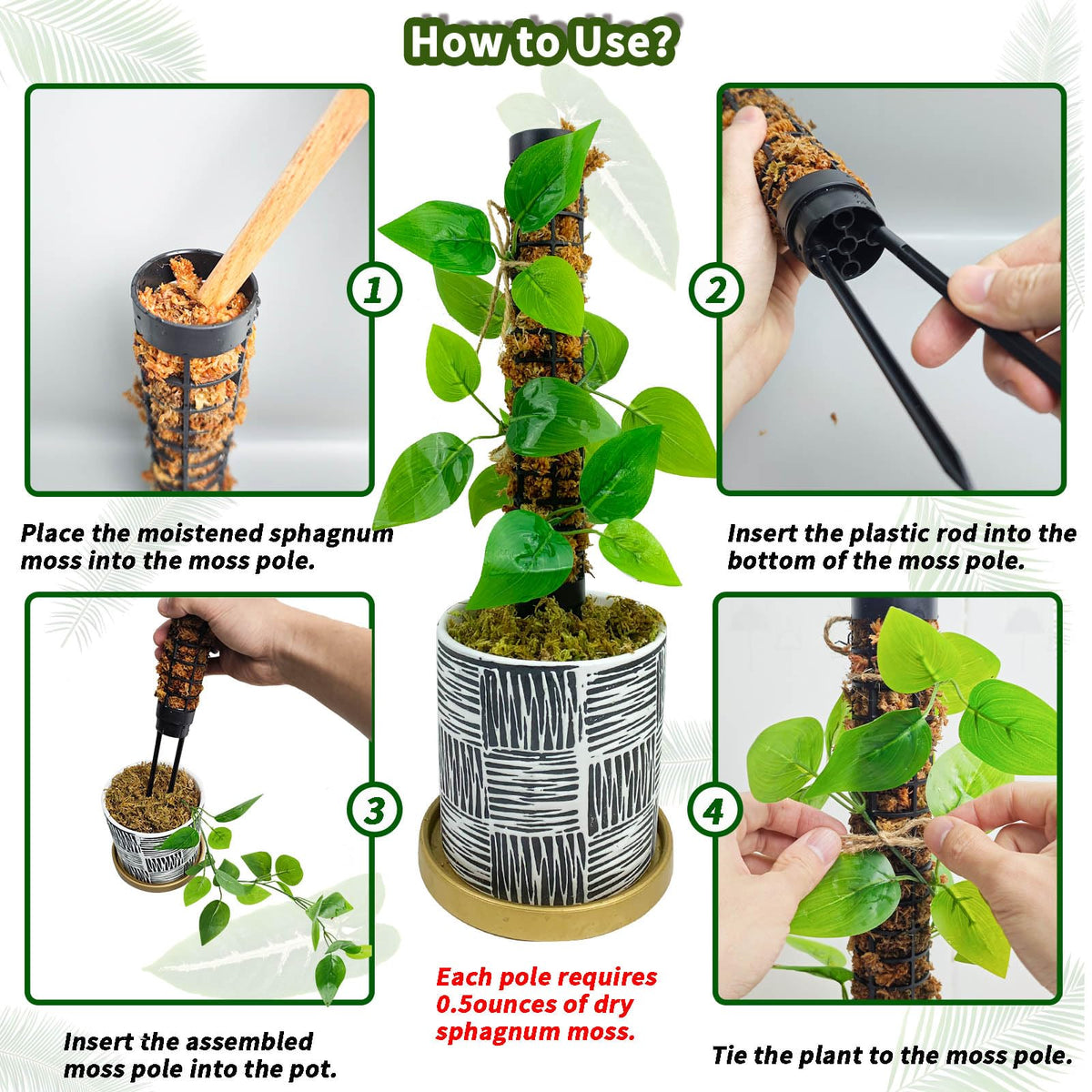 HYYZ easy setup demonstration for quick indoor plant support.