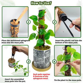 HYYZ easy setup demonstration for quick indoor plant support.