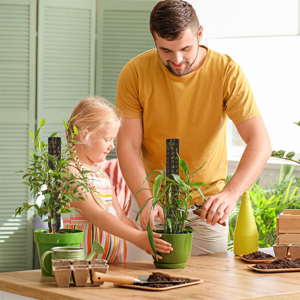 HYYZ Monstera support moss pole kit in black for indoor plant climbing.
