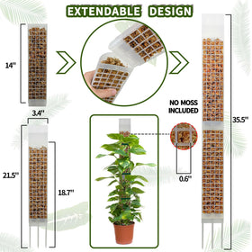 HYYZ moss pole D-shaped mesh surface aiding sturdy aerial-root attachment