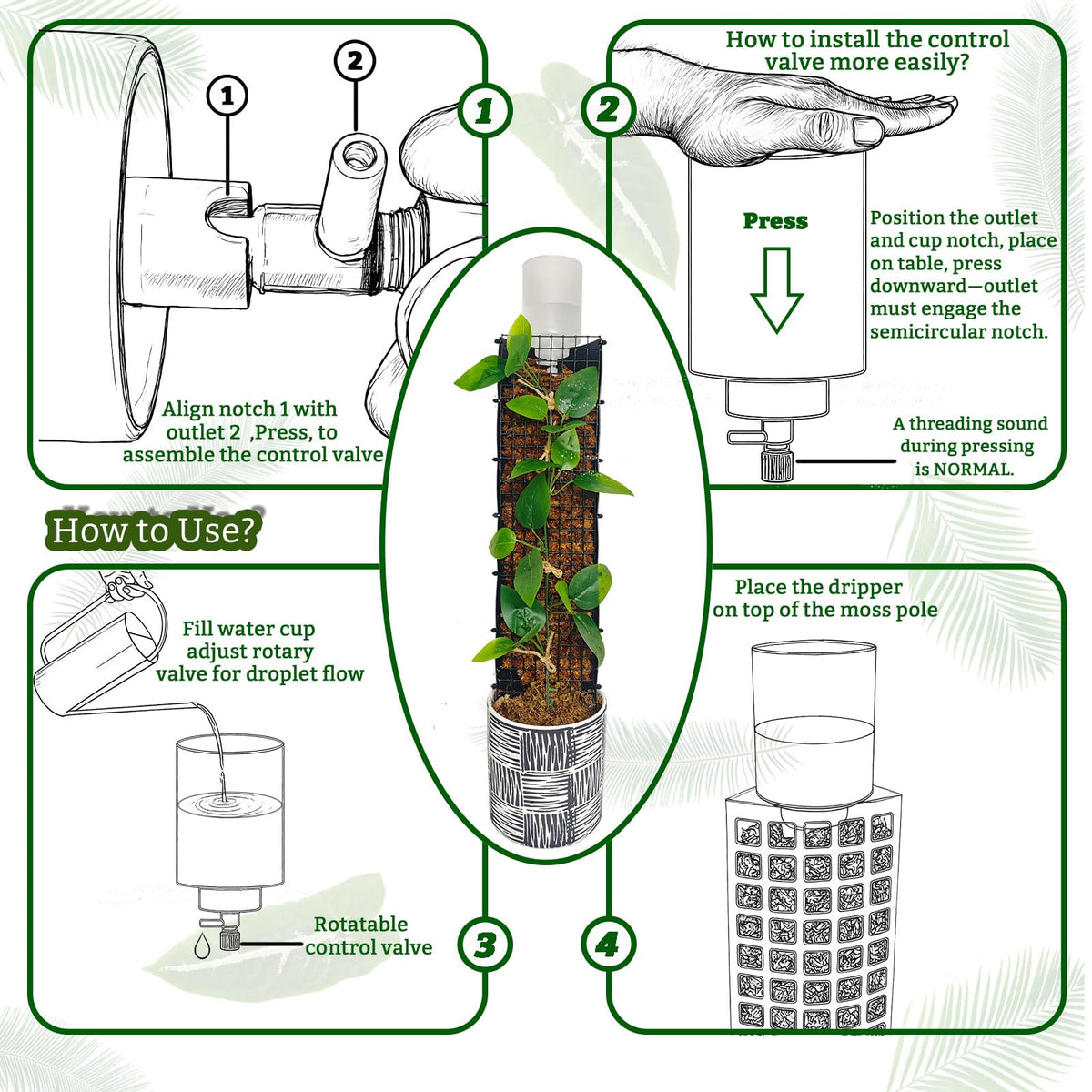 HYYZ Moss pole installation demonstrating precise soak without overwatering.