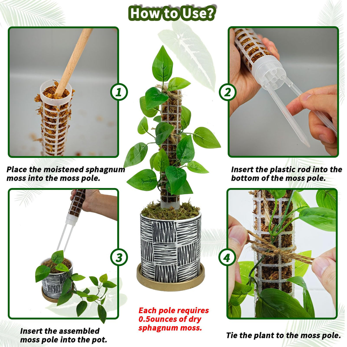 HYYZ moss pole plant setup in pot demonstrates quick installation.
