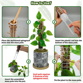 HYYZ moss pole plant setup in pot demonstrates quick installation.