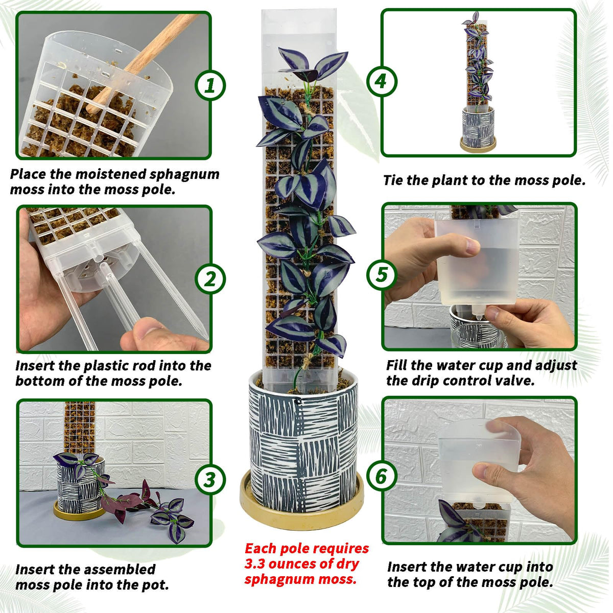 HYYZ self-watering cup top view for easy plant hydration