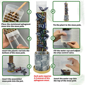 HYYZ self-watering cup top view for easy plant hydration