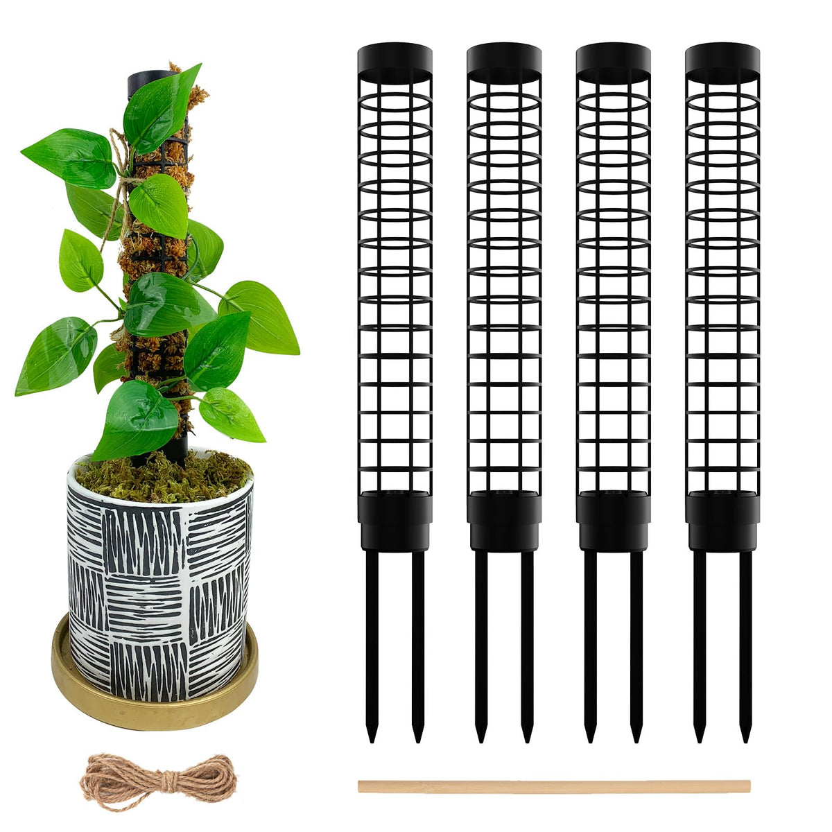 HYYZ small moss pole top view with black plastic mesh for Monstera support.