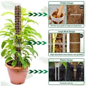 HYYZ small moss pole with refillable interior retains moisture.