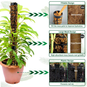 HYYZ moss pole stackable segments for climbing plants indoors.