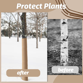 HZCGJMY wrap on bark providing frost protection for trees