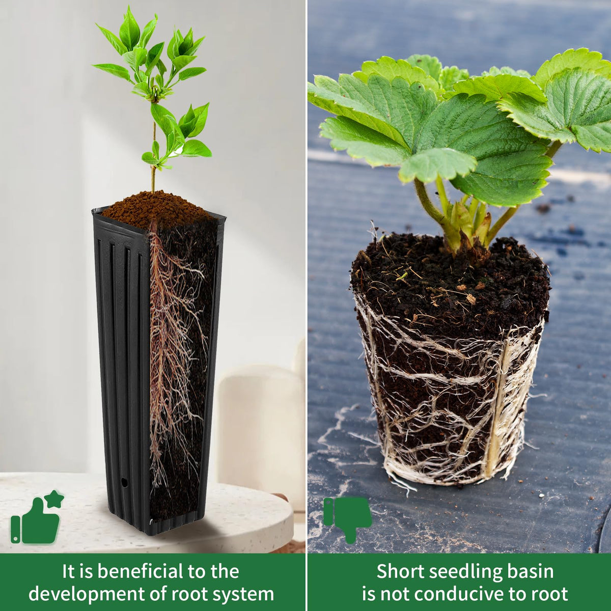Hzloyat plastic nursery pot close-up emphasizes durable material for climates.