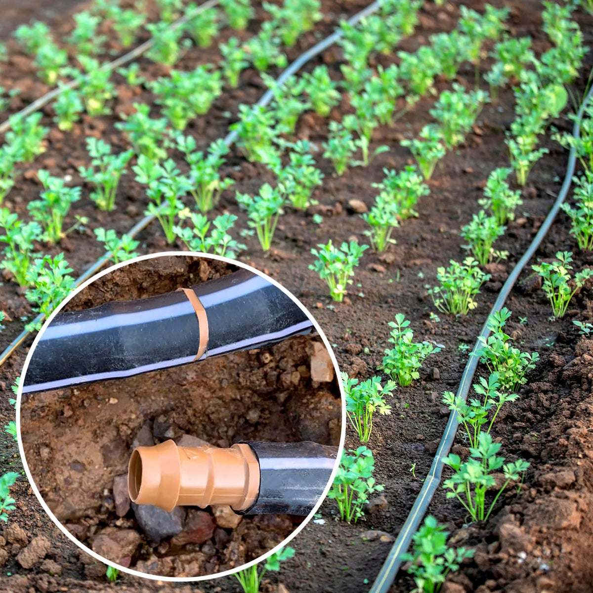 HZMM durable fittings ideal for patios, lawns, and garden beds.