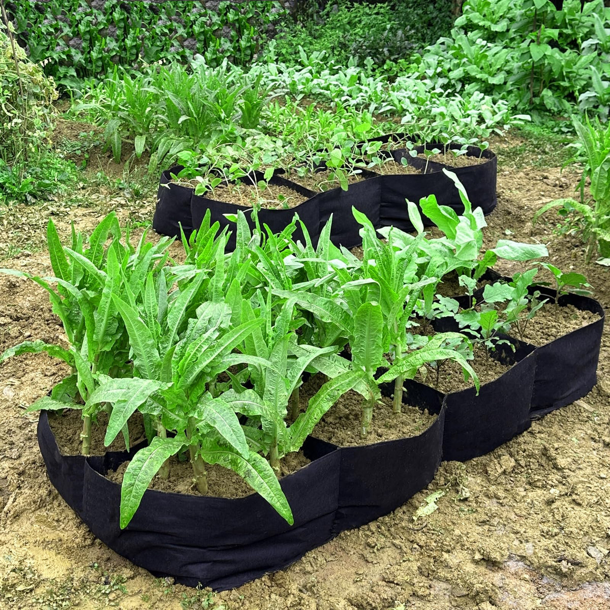 HzNzYHD outdoor planting solution suited for patios, balconies, and gardens.