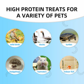 I LOVE WORMS BSFL small animals feeding options cover birds, hamsters, and more.