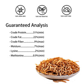I LOVE WORMS mealworms for chickens provide a non-GMO protein boost.