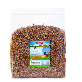 I LOVE WORMS BSFL chicken-treat-bag highlighting a calcium-rich snack for laying hens