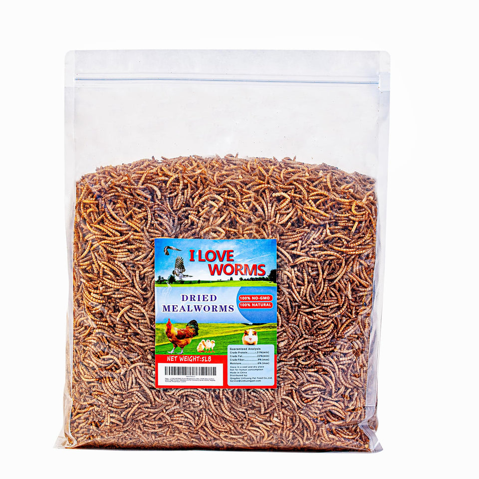 I LOVE WORMS dried mealworms in sealed packaging for easy safe storage.