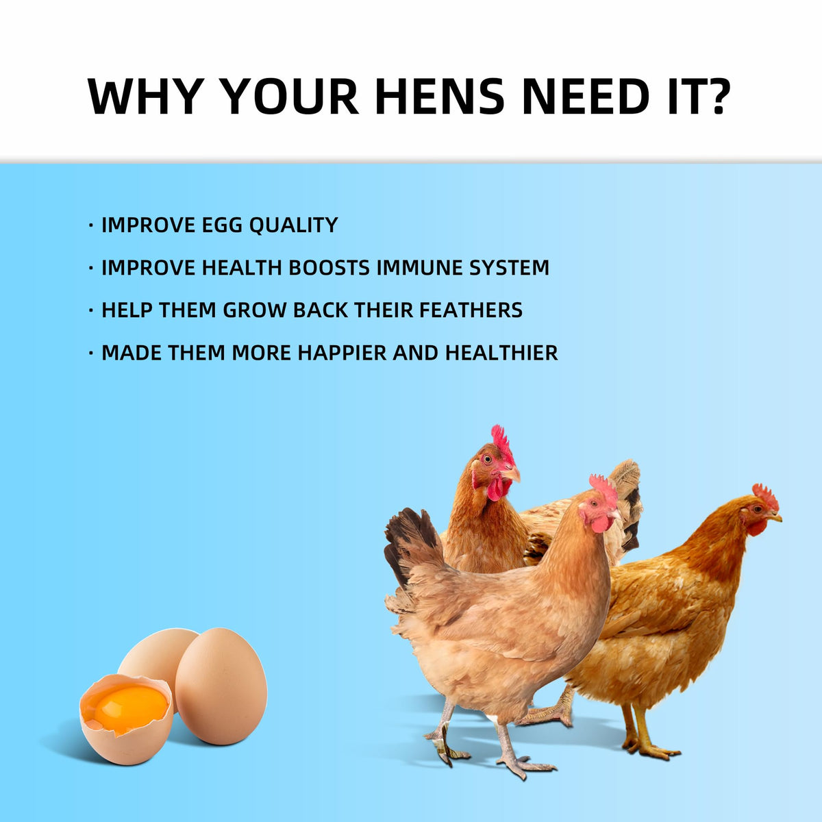I LOVE WORMS multi-animal-use BSFL serving image suggests treats for birds, turtles, and small mammals