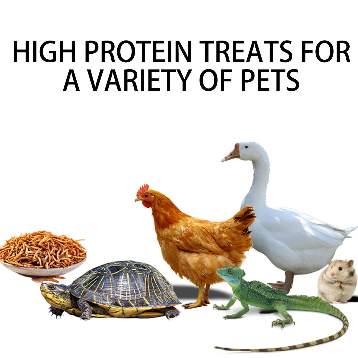 I LOVE WORMS reptile treats with mealworms suitable for turtles and lizards.