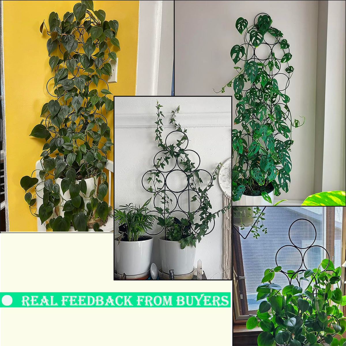 IA Garden trellis is suitable indoors or outdoors across seasons.