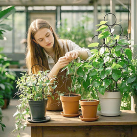 IA Garden trellis supports roses, peas, and morning glories for healthy blooms.