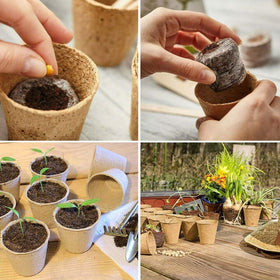 IAXSEE close-up of biodegradable peat pot texture highlighting eco-friendly starter.
