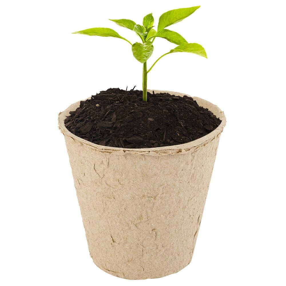 IAXSEE eco-friendly gardening kit for seed starting and growing.
