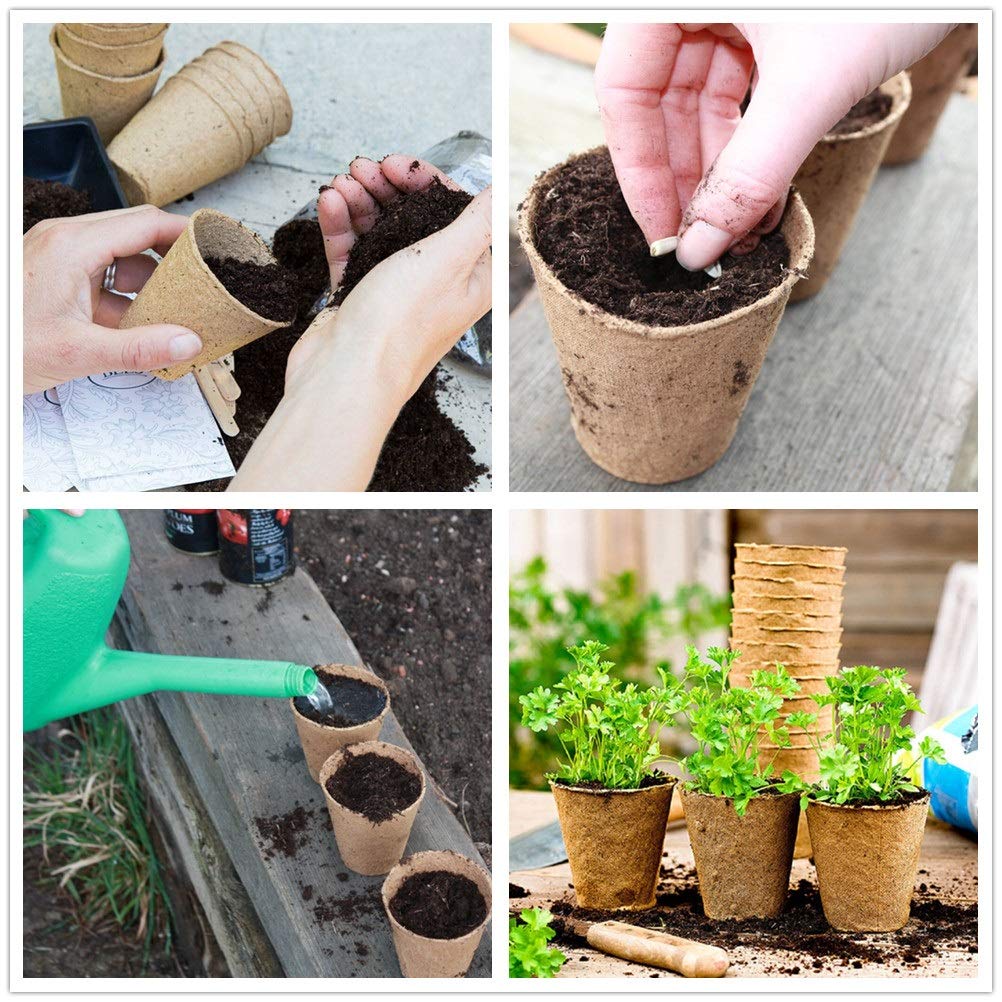 IAXSEE seedlings for flowers, vegetables and herbs in peat pots.
