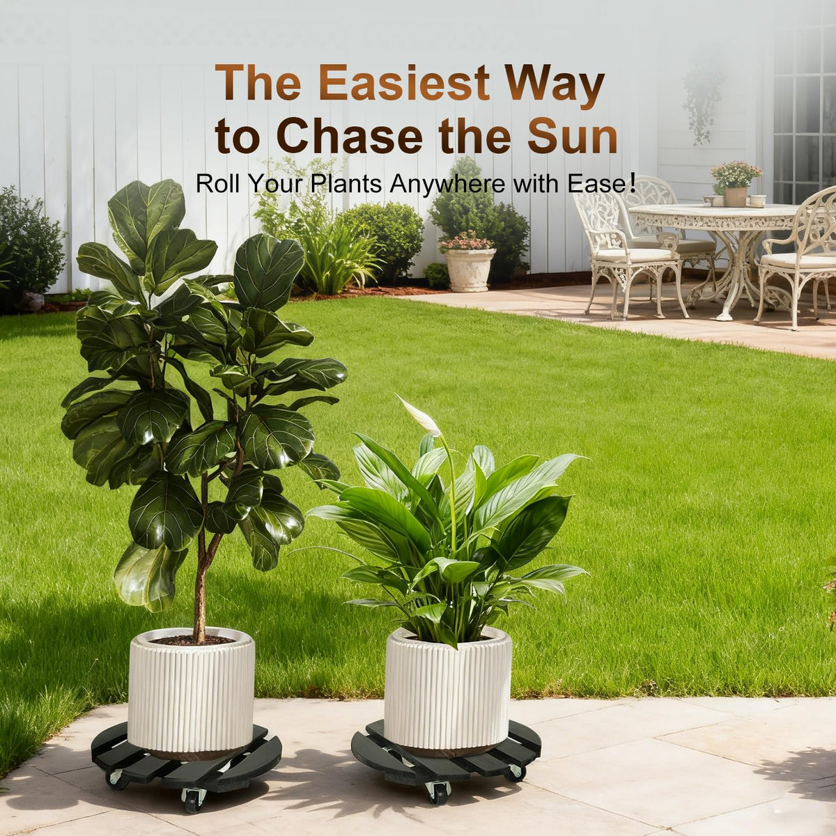 IBGUC 2-pack plant caddy set enabling multiple plant relocations