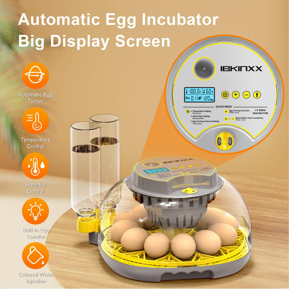 IBKINXX incubator interior candling view enabling embryo monitoring.