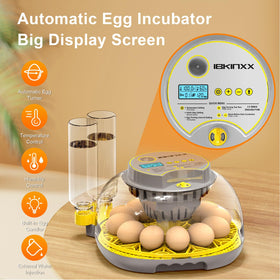 IBKINXX incubator interior candling view enabling embryo monitoring.