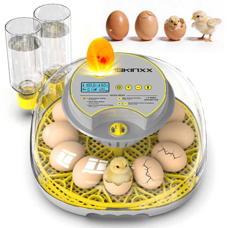 IBKINXX incubator front view with clear controls for precise temperature setup.