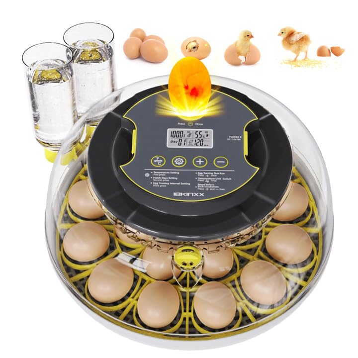 IBKINXX incubator 360-view window for easy egg monitoring