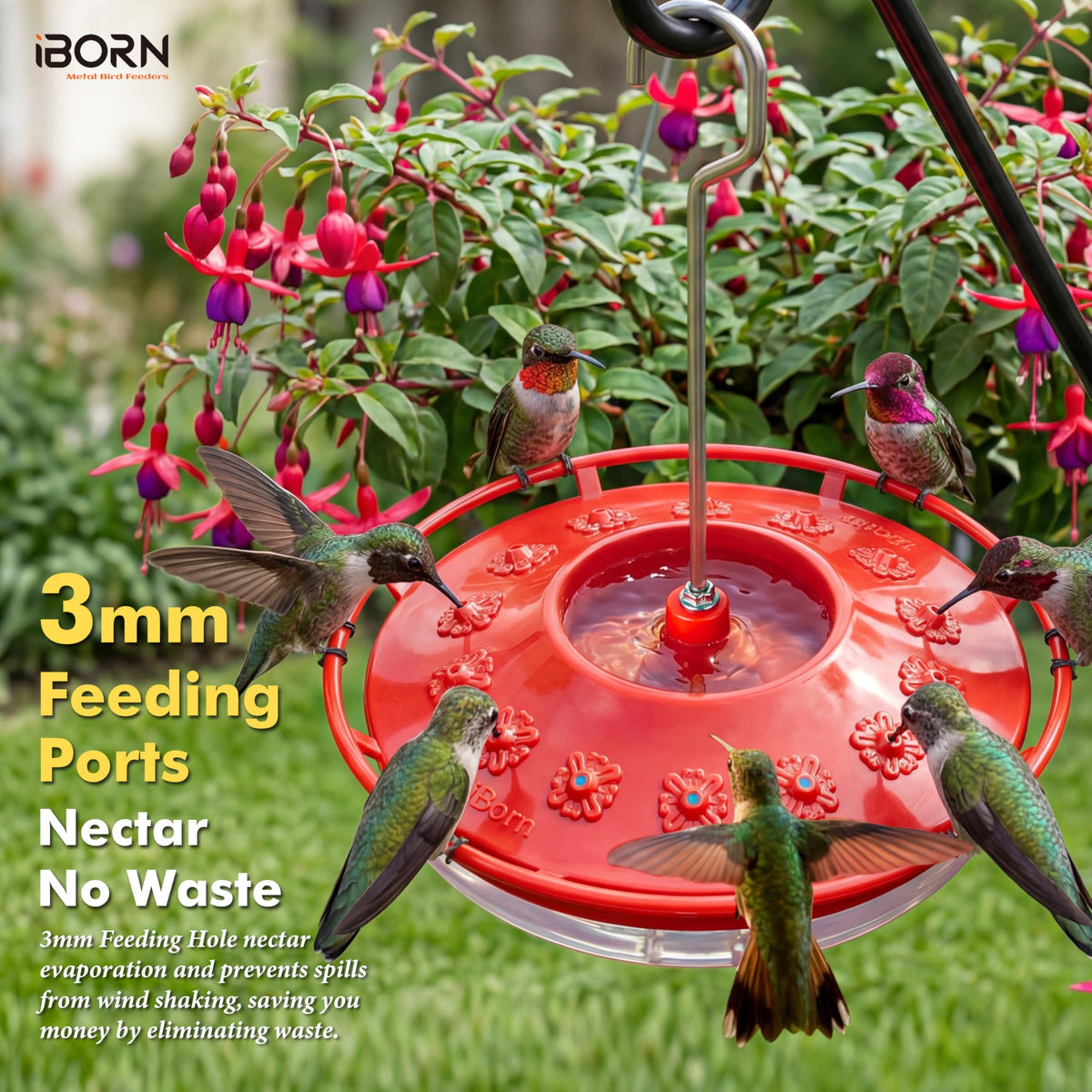 iBorn leak-proof feeder keeps nectar contained and spill-free.
