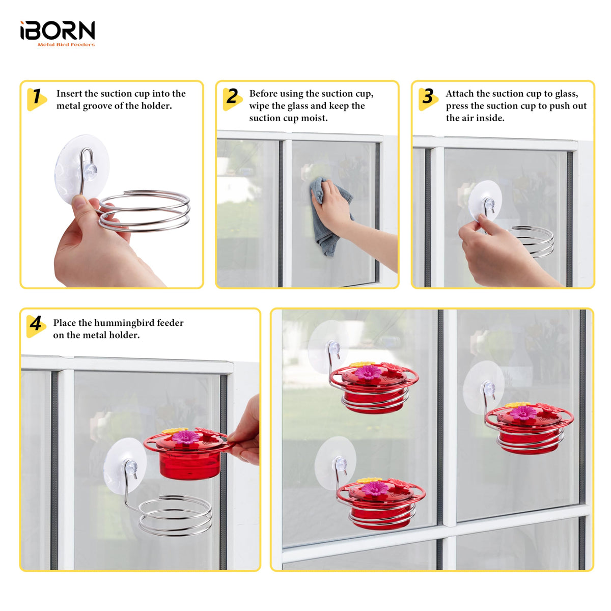 iBorn BPA-free PS materials ensure a bird-friendly feeding option