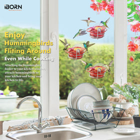 iBorn stainless steel base provides durable, stable feeding surface