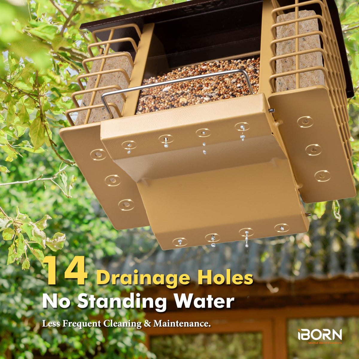 iBorn feeder with fourteen drain holes stays dry and fresh