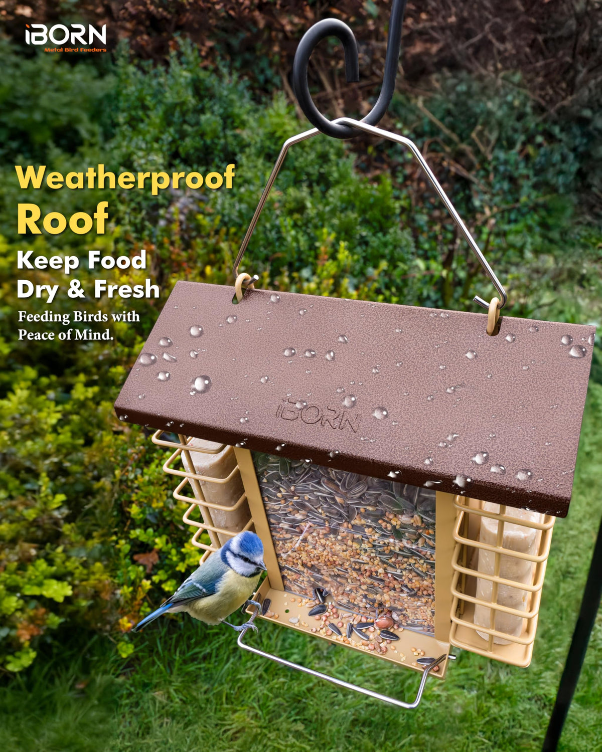 iBorn four feeding ports ensure smooth seed flow for birds
