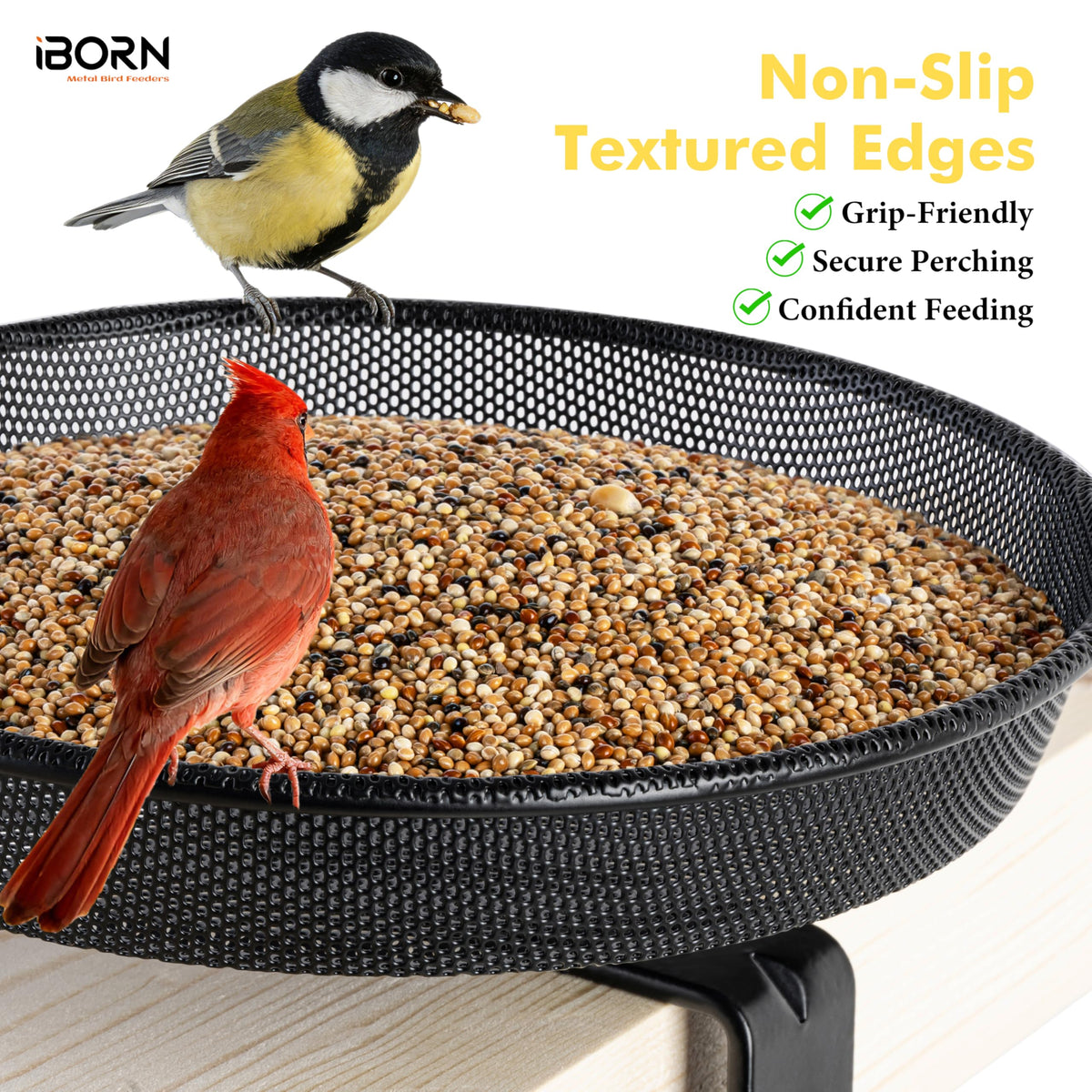 iBorn grip-friendly edges provide confident perching for visiting birds