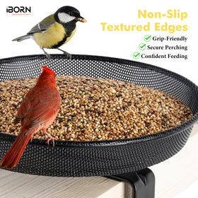 iBorn grip-friendly edges provide confident perching for visiting birds