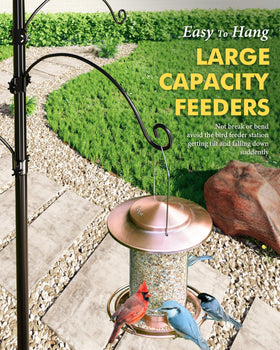 Squirrel-deterrent iBorn design helps protect feeders from pests.