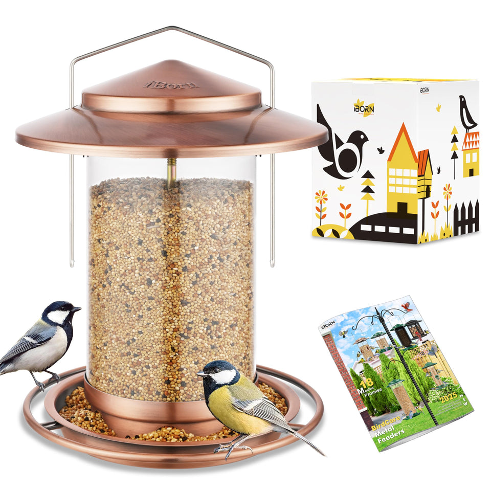 iBorn brushed copper 6-port bird feeder, hanging outdoors, attracts cardinals.