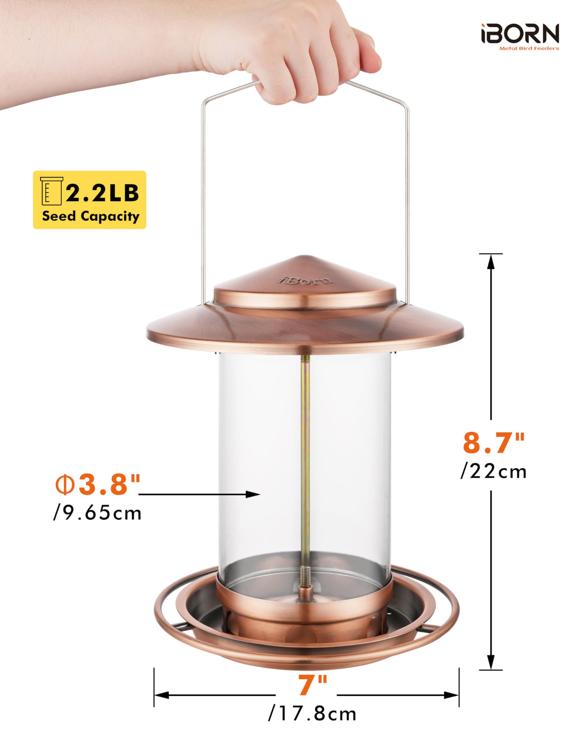 iBorn 2.2lb capacity attracts more birds, creating a lively backyard gathering.