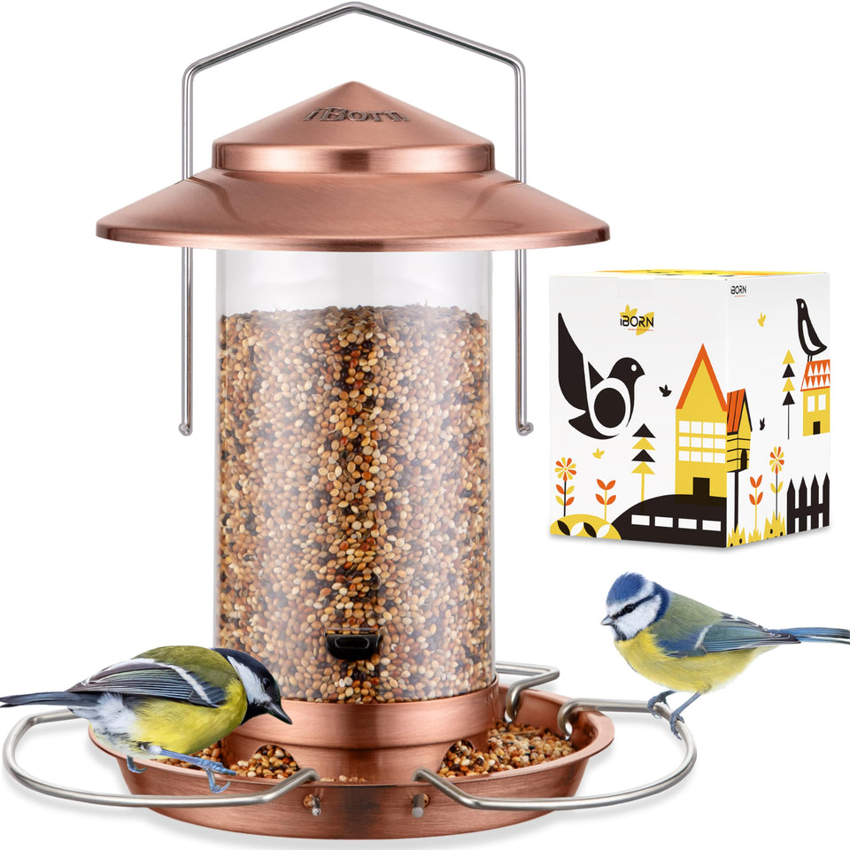 iBorn Bird Feeder with chew-proof metal roof protects seeds from squirrels and weather.