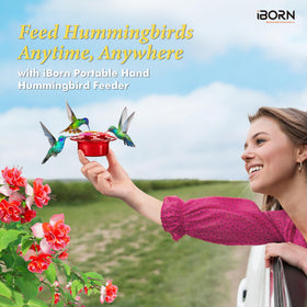 iBorn BPA-free material hummingbird feeder for safe outdoor nectar.