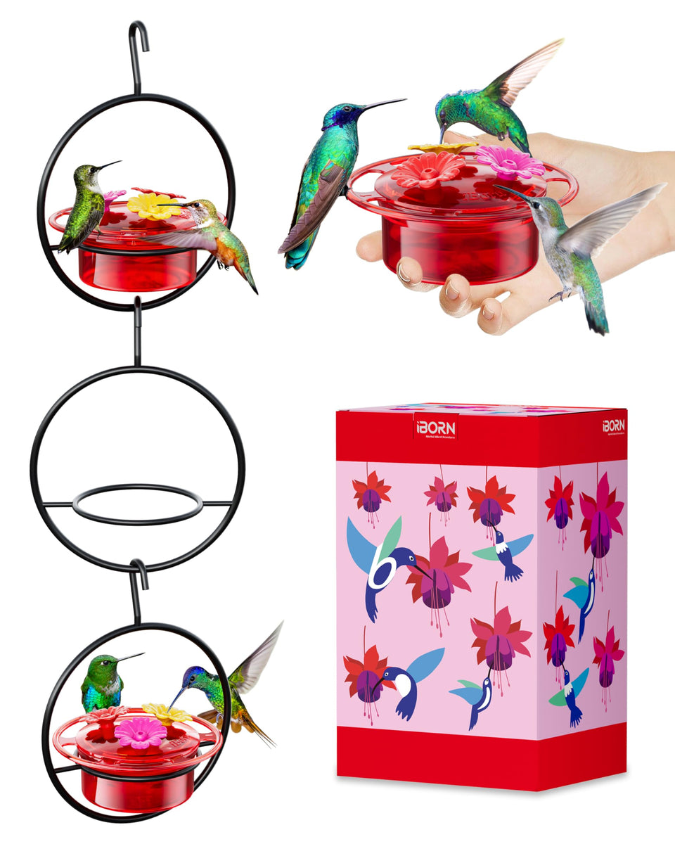 iBorn circular hanging hummingbird feeder with 360° perch attracts multiple birds