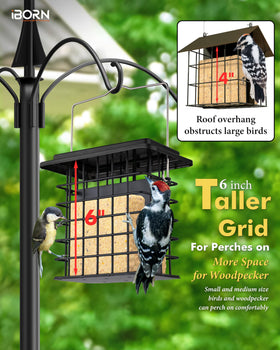 Copper roof version of iBorn feeder attracting woodpeckers and songbirds.