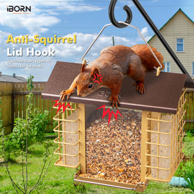 iBorn double suet holders keep bird snack options available longer