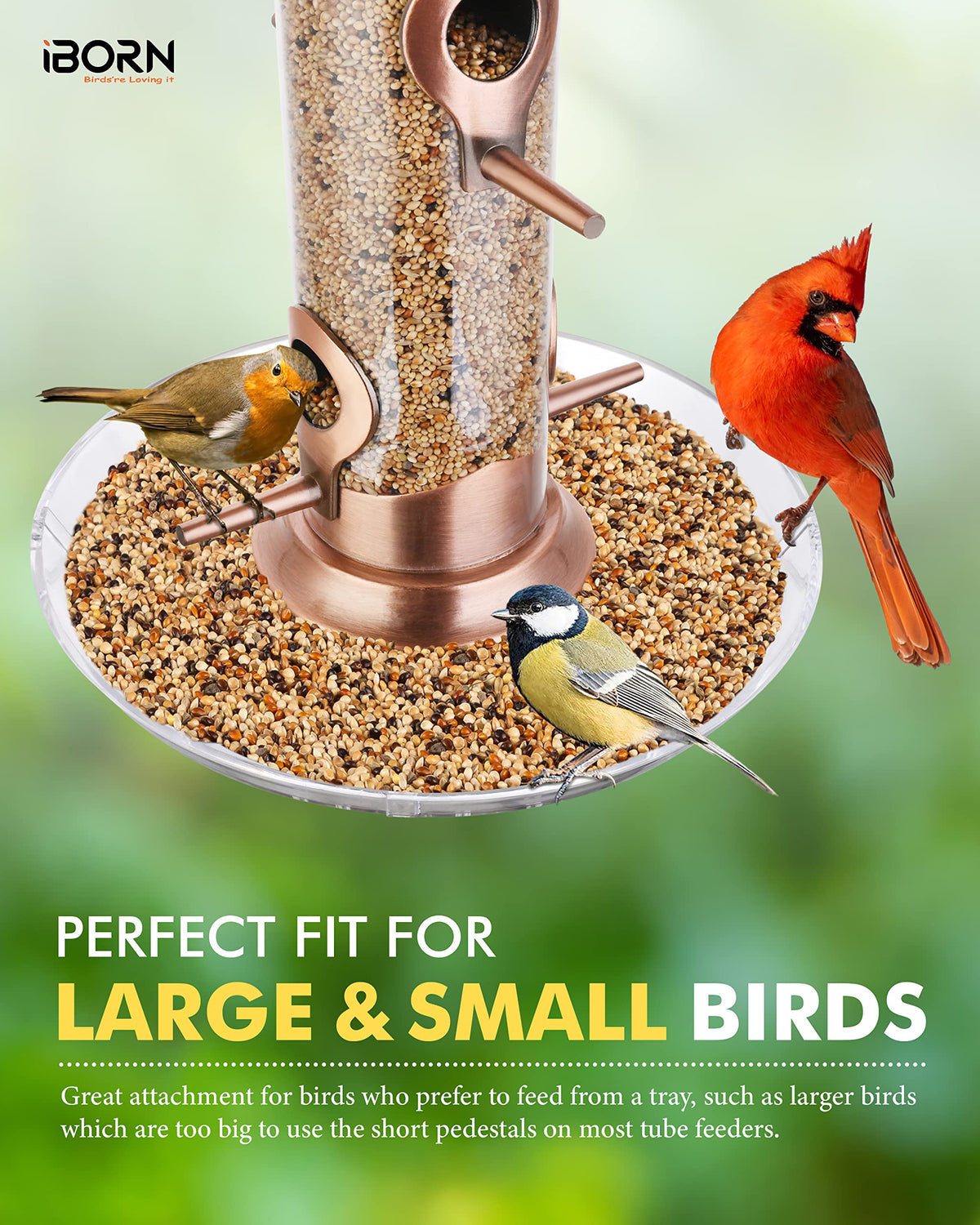 iBorn seed catcher helps prevent sprouting and waste under feeder
